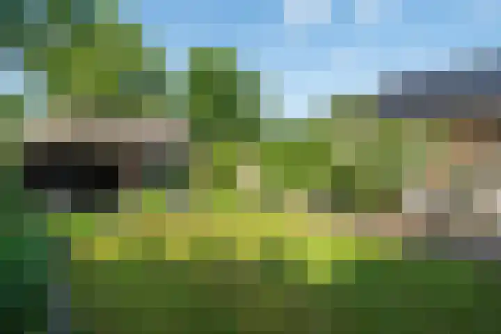Middenlaan 27 Dwingeloo thumbnail 28