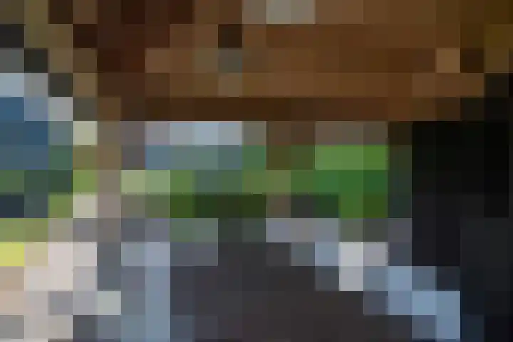 Middenlaan 27 Dwingeloo thumbnail 30
