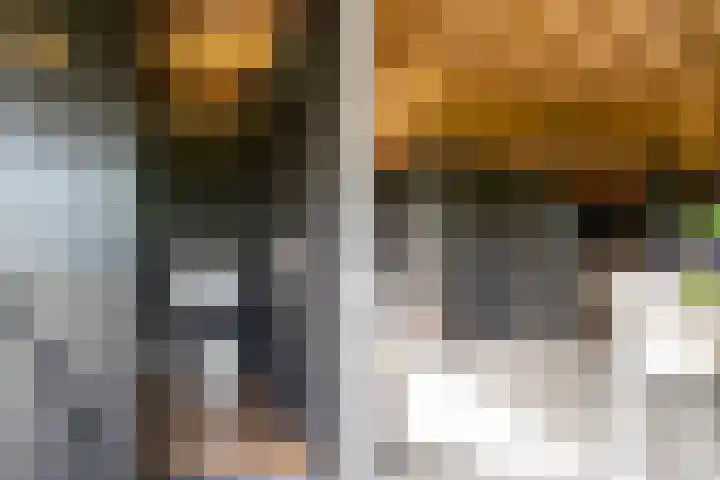 Middenlaan 27 Dwingeloo thumbnail 33