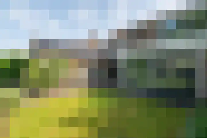 Middenlaan 27 Dwingeloo thumbnail 34