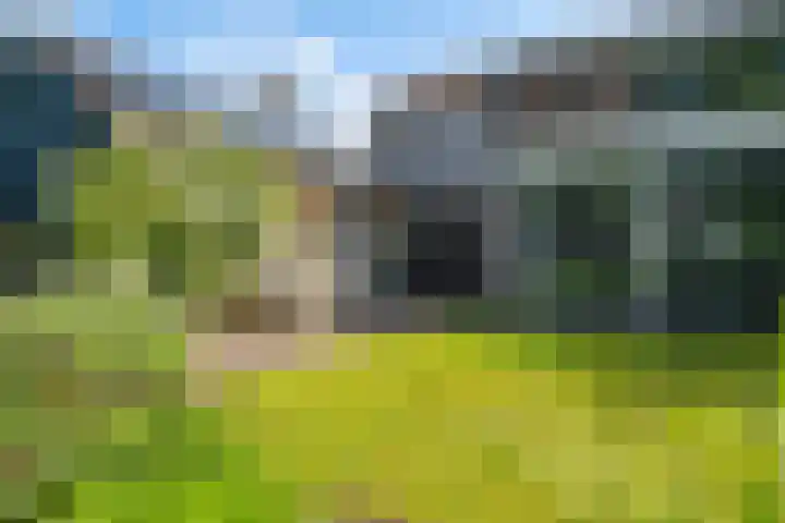 Middenlaan 27 Dwingeloo thumbnail 36