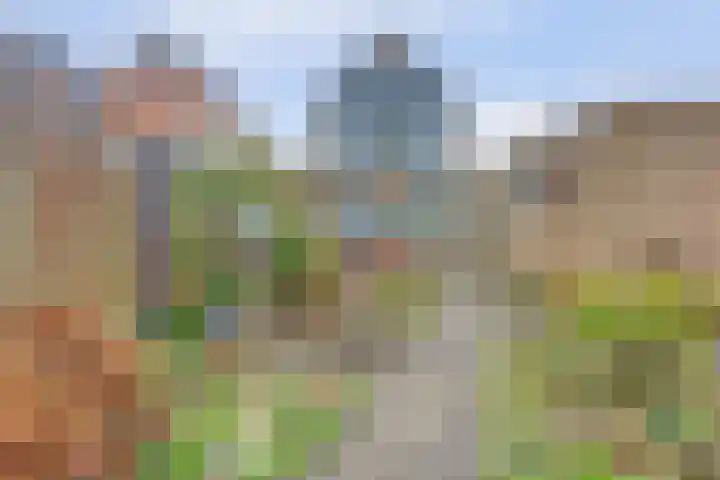Middenlaan 27 Dwingeloo thumbnail 38