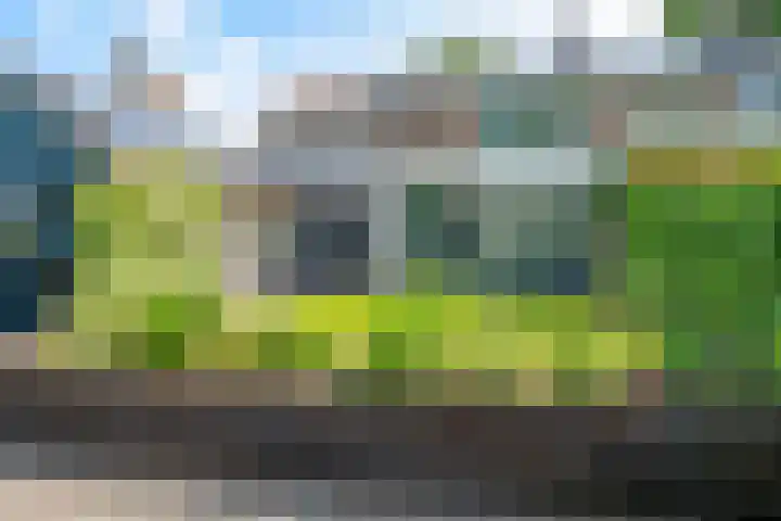 Middenlaan 27 Dwingeloo thumbnail 4
