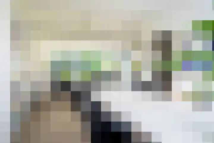 Middenlaan 27 Dwingeloo thumbnail 9