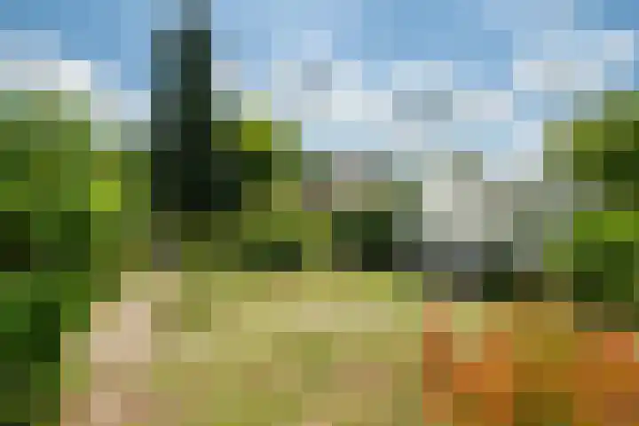 Middenmolendijk 197 Ridderkerk thumbnail 12