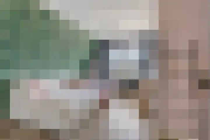 Middenpad 29 Zuidoostbeemster thumbnail 20