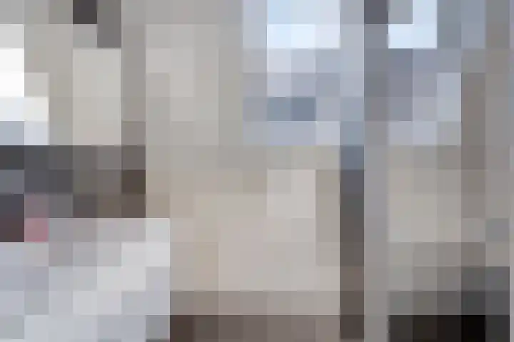 Middenpad 29 Zuidoostbeemster thumbnail 26