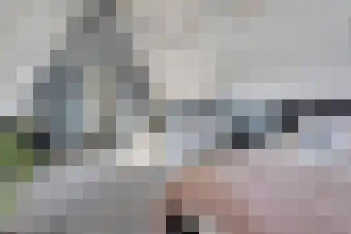 Middenpad 29 Zuidoostbeemster thumbnail 31
