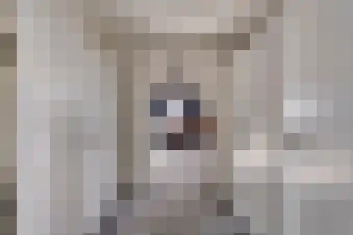 Middenpad 29 Zuidoostbeemster thumbnail 32