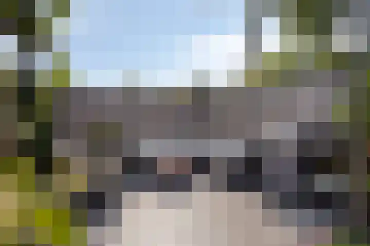 Middenpad 29 Zuidoostbeemster thumbnail 40