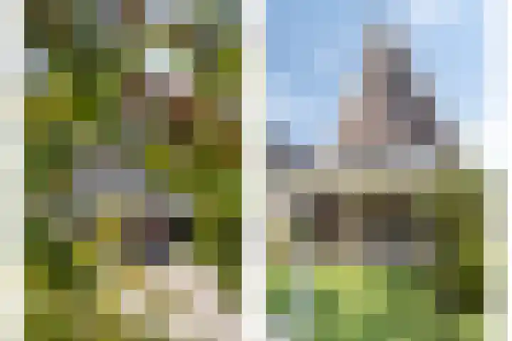 Middenpad 29 Zuidoostbeemster thumbnail 42