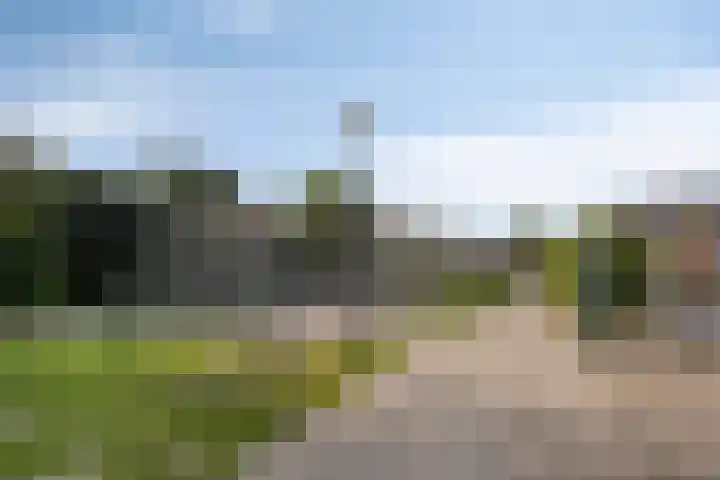 Middenpad 29 Zuidoostbeemster thumbnail 48