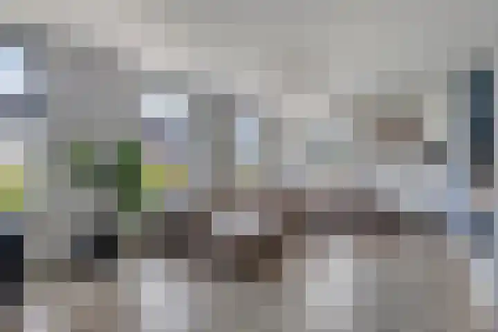 Middenpad 29 Zuidoostbeemster thumbnail 5