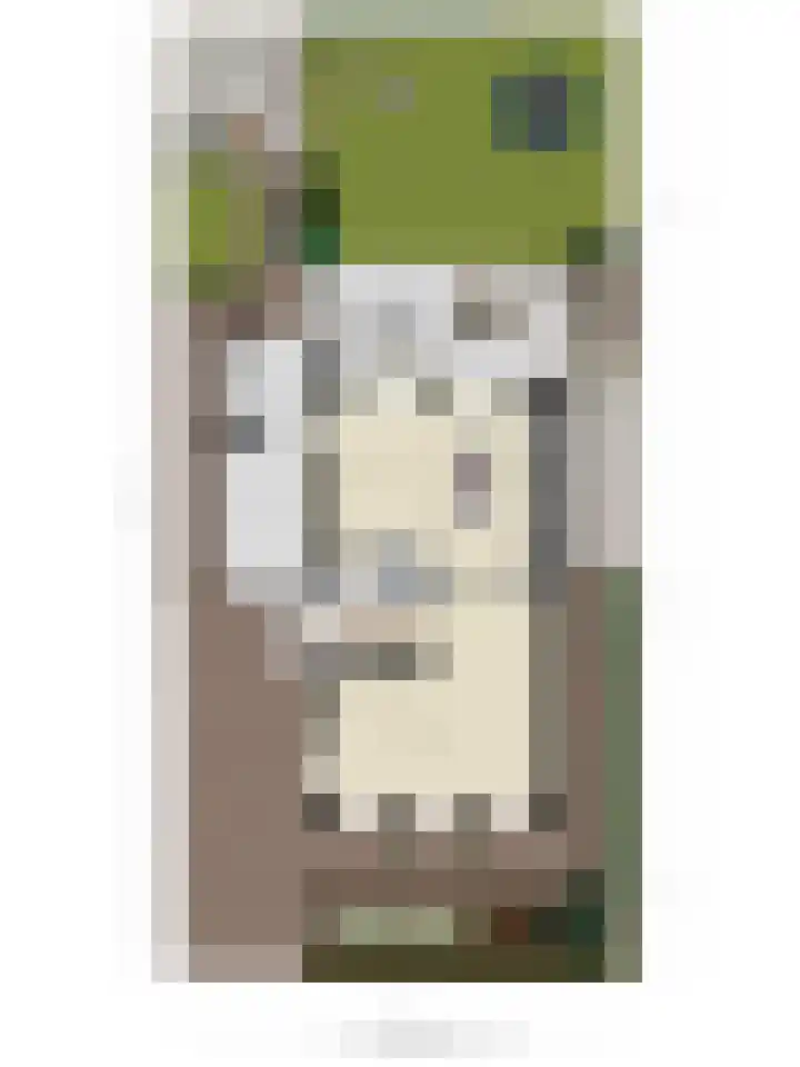 Middenpad 29 Zuidoostbeemster thumbnail 51