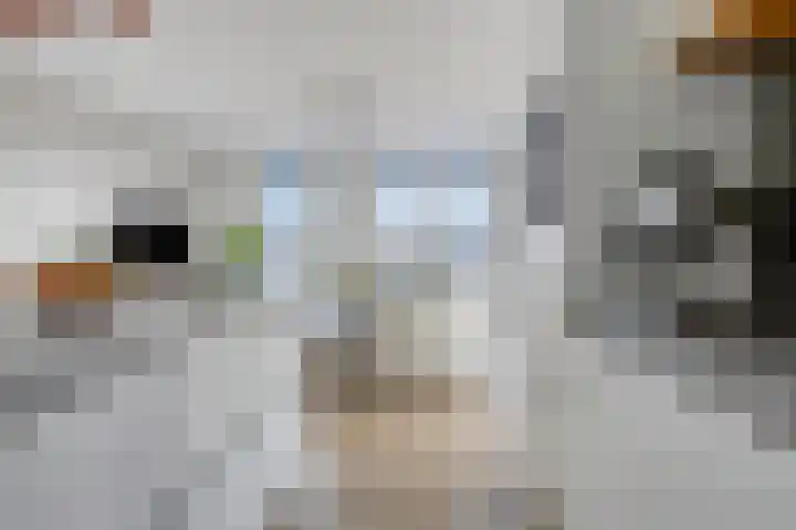 Middenstip 17 Terheijden thumbnail 12