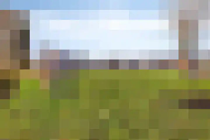 Middenstip 17 Terheijden thumbnail 22