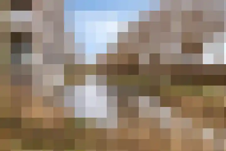 Middenstip 17 Terheijden thumbnail 23