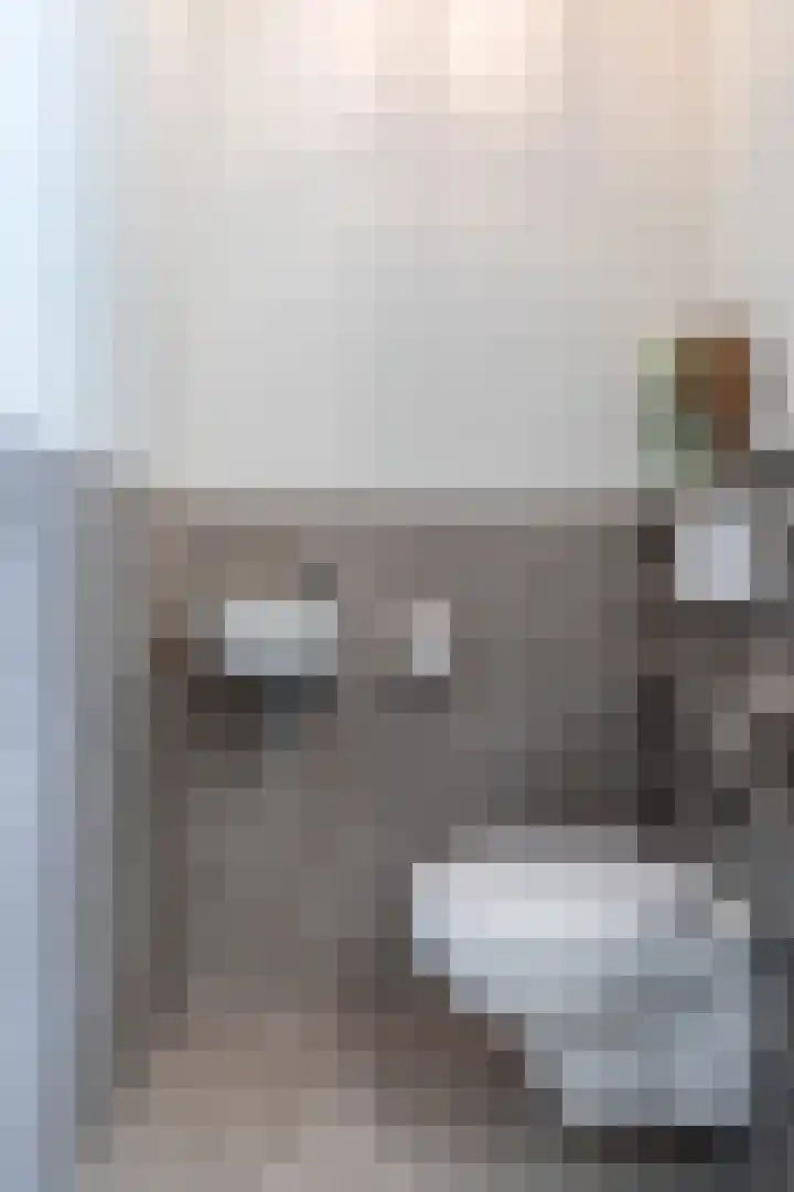 Middenstip 4 Terheijden thumbnail 18