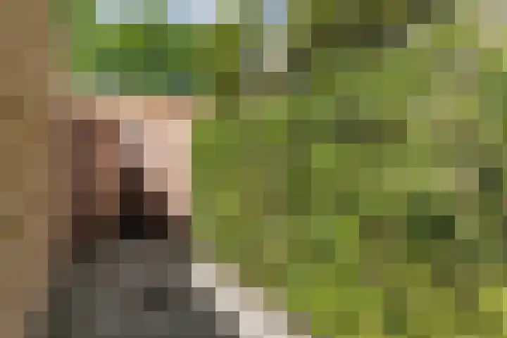 Middenstip 4 Terheijden thumbnail 30