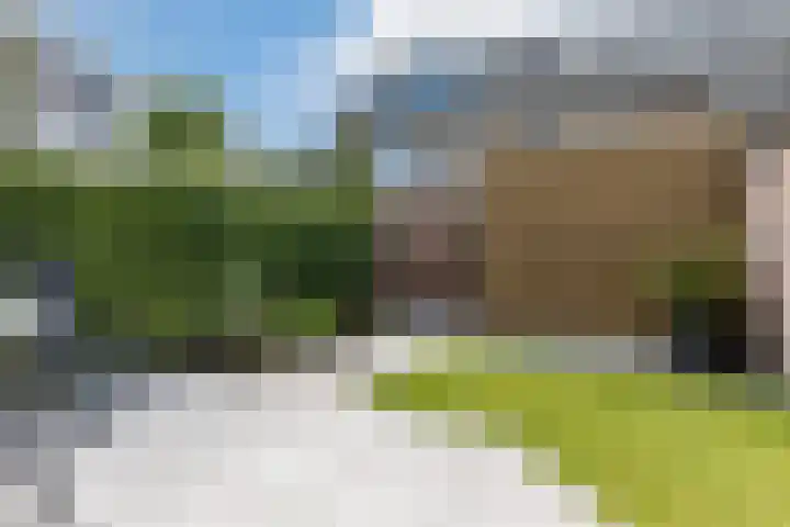 Middenstip 4 Terheijden thumbnail 31