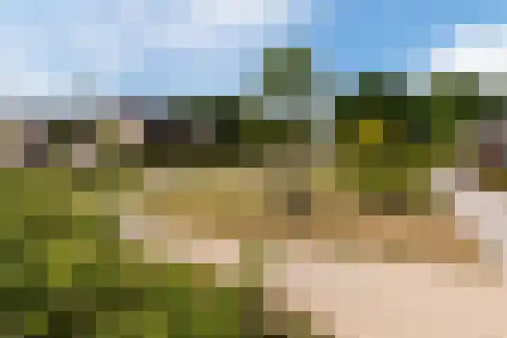 Middenstip 4 Terheijden thumbnail 35