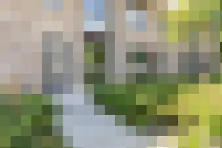 Middenstip 4 Terheijden thumbnail 5