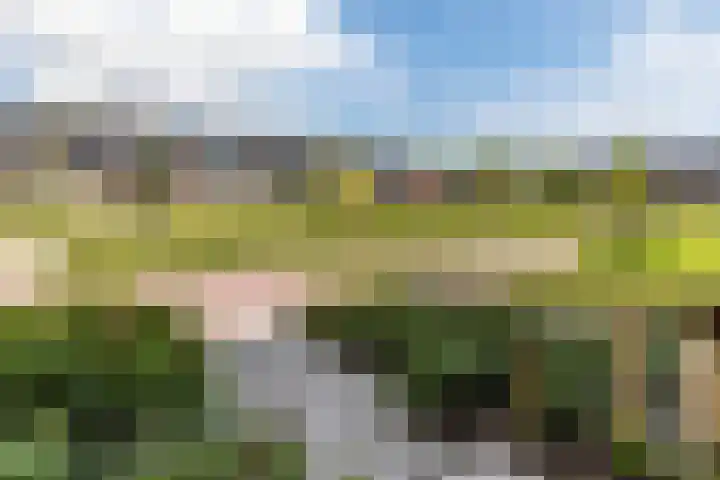 Middenstip 4 Terheijden thumbnail 6