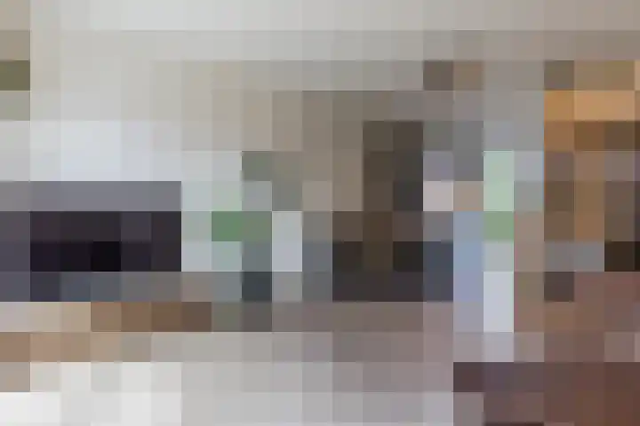 Middenstip 4 Terheijden thumbnail 8