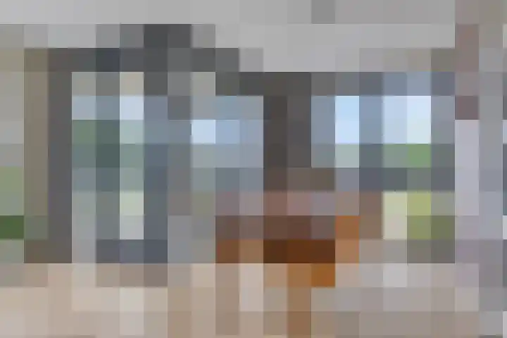 Middenstip 9 Terheijden thumbnail 14