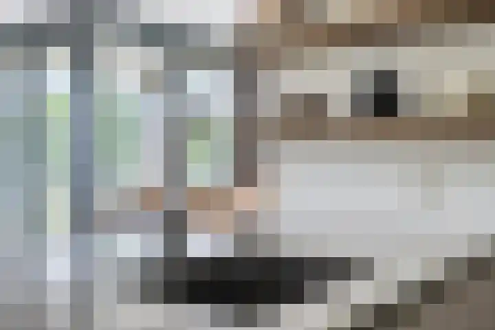 Middenstip 9 Terheijden thumbnail 16