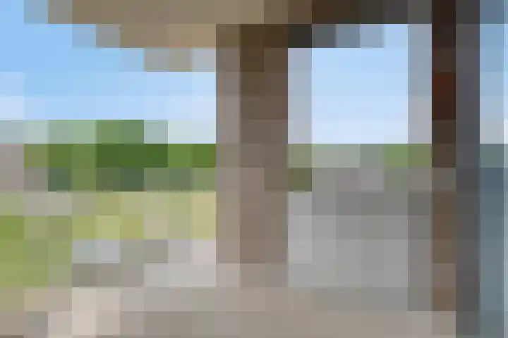 Middenstip 9 Terheijden thumbnail 17