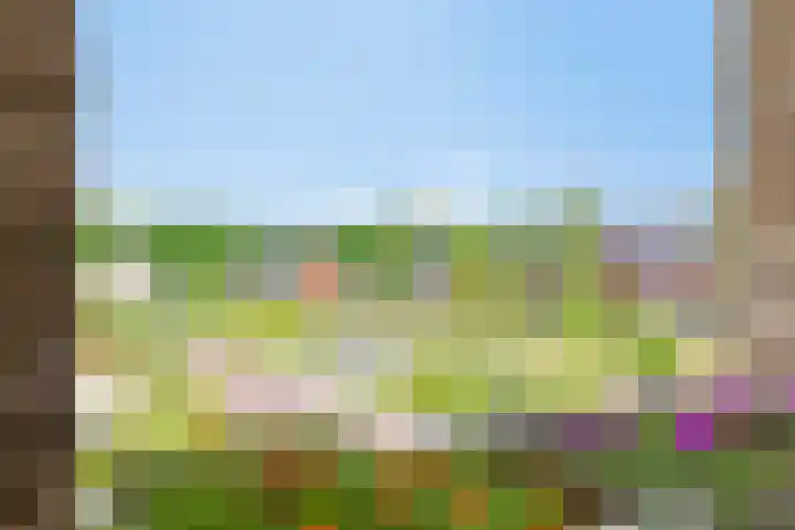 Middenstip 9 Terheijden thumbnail 19