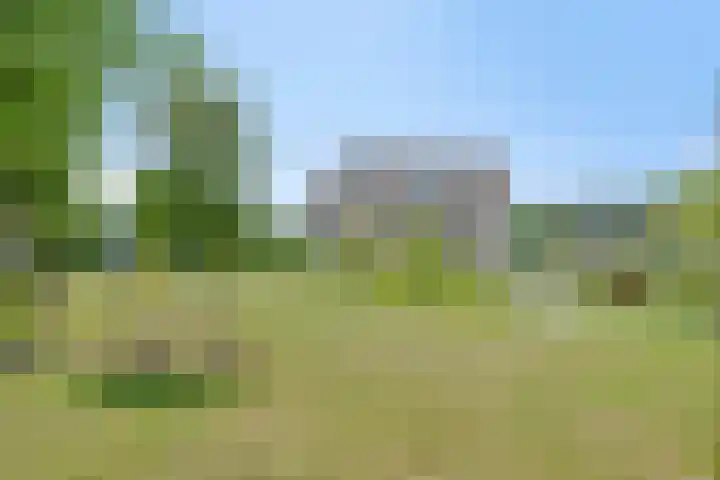 Middenstip 9 Terheijden thumbnail 27