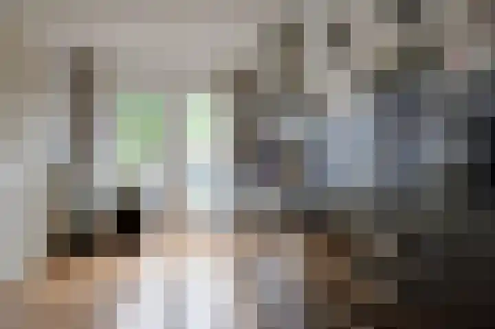 Middenstraat 100 Sappemeer thumbnail 18