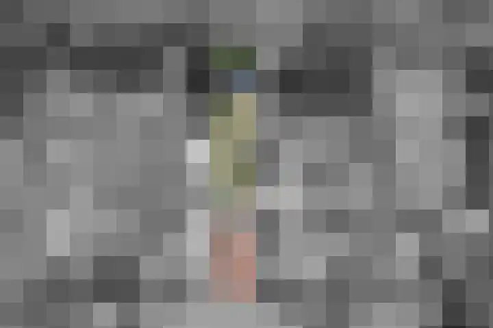 Middenstraat 100 Sappemeer thumbnail 4