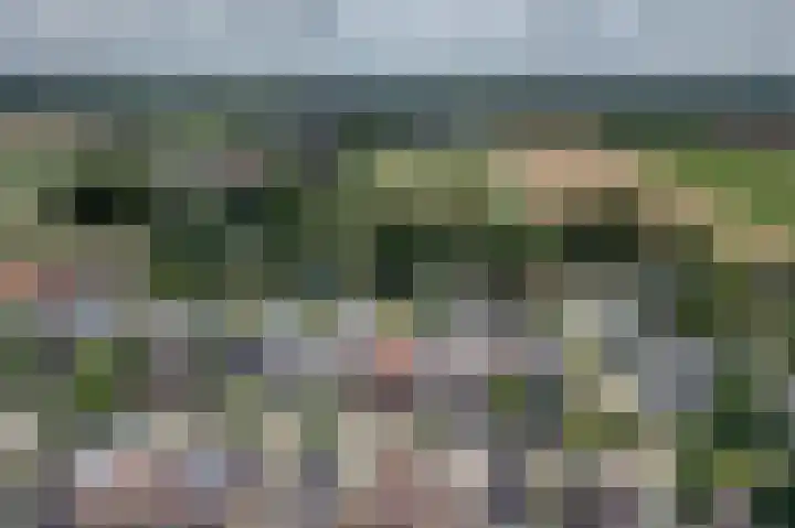 Middenstraat 100 Sappemeer thumbnail 6