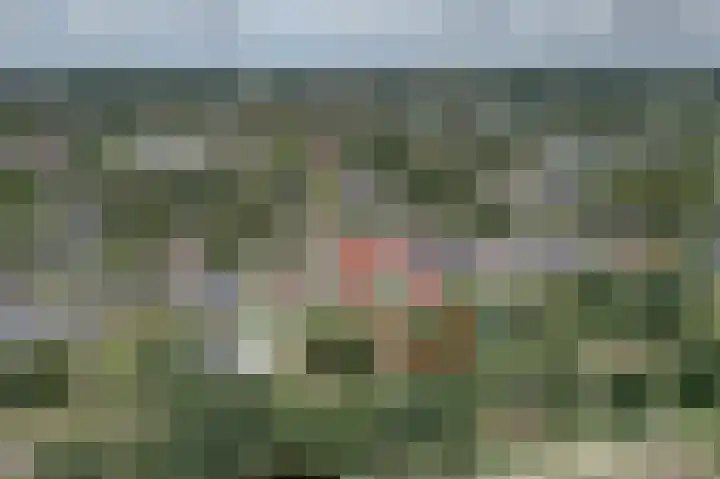 Middenstraat 100 Sappemeer thumbnail 7