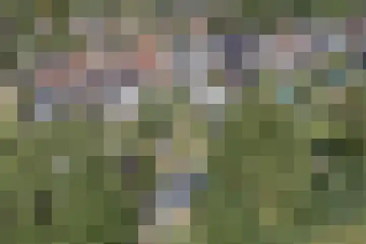 Middenstraat 100 Sappemeer thumbnail 8