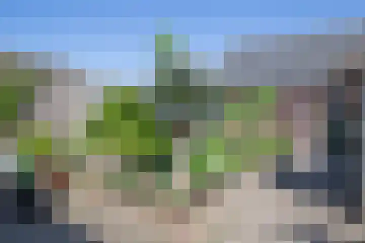 Middenstraat 38 Woudenberg thumbnail 30