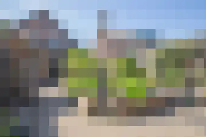 Middenstraat 38 Woudenberg thumbnail 31