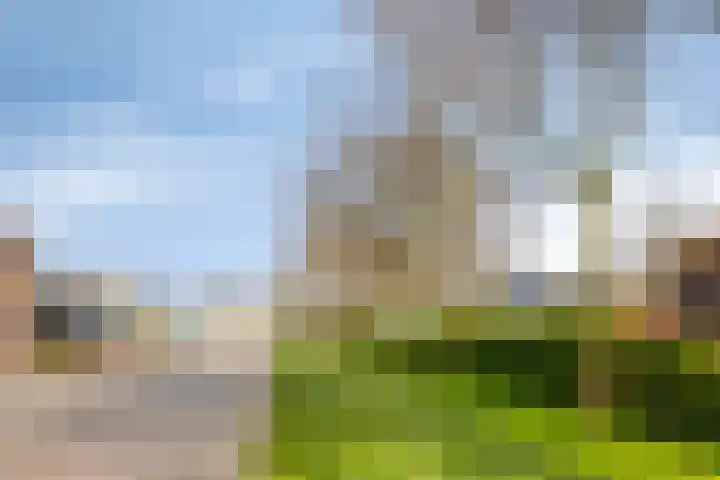 Middenstraat 6 's-Gravenpolder thumbnail 53