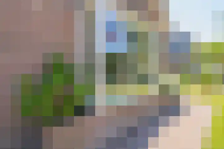 Middenstraat 6 Zeijen thumbnail 11