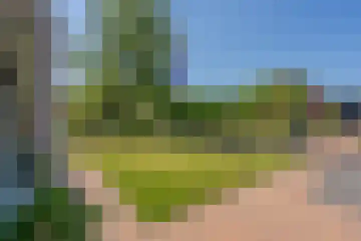 Middenstraat 6 Zeijen thumbnail 15
