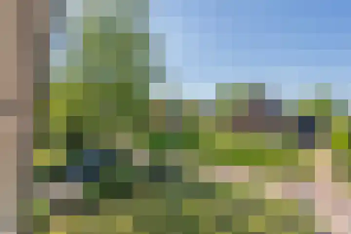 Middenstraat 6 Zeijen thumbnail 37
