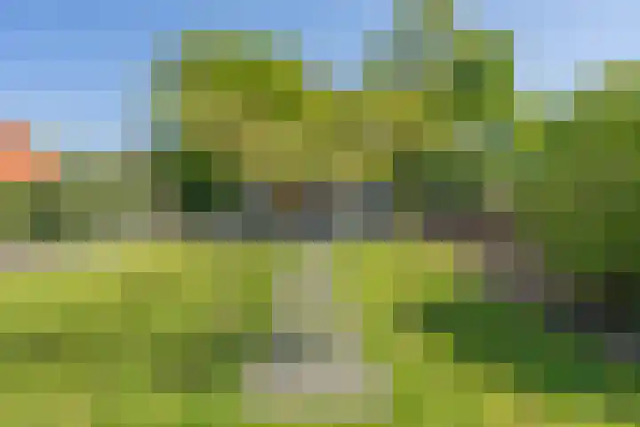 Middenstraat 6 Zeijen thumbnail 4