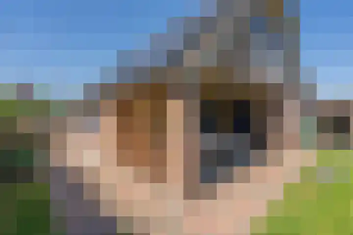 Middenstraat 6 Zeijen thumbnail 57