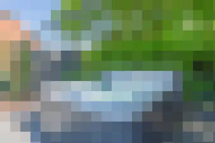 Middenstraat 6 Zeijen thumbnail 65