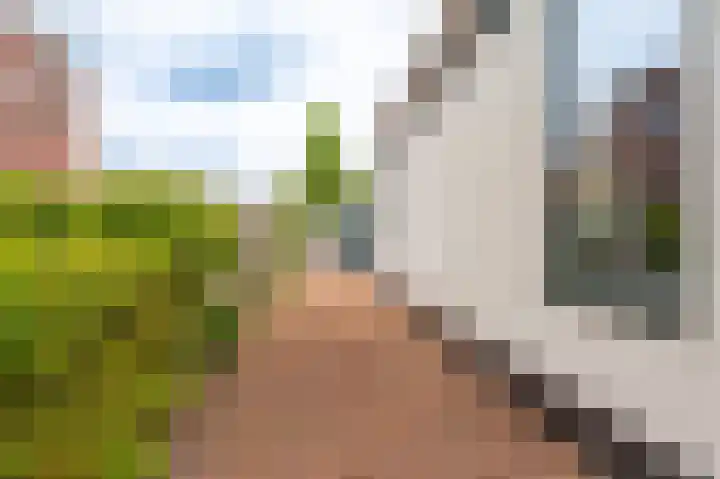 Middenstraat 81 Sappemeer thumbnail 26