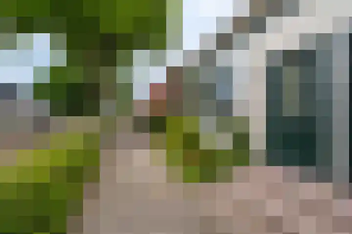 Middenstraat 81 Sappemeer thumbnail 29