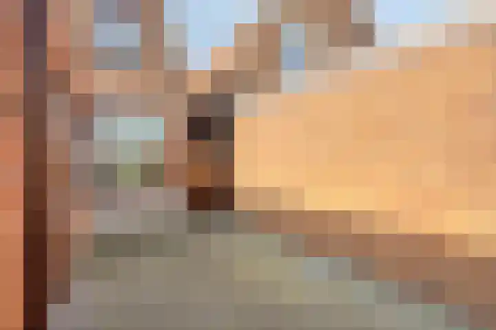 Middenstraat 83 Sluiskil thumbnail 18